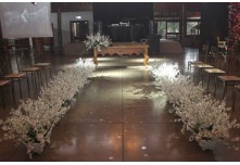 Casamento Thais e Davi