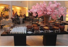 Casamento Dayene e Hudson 