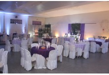 Niver 15 Anos Maria Vitoria