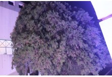 Niver 15 Anos Maria Vitoria