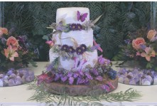 Niver 15 Anos Maria Vitoria