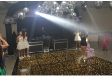 Niver 15 Anos Maria Vitoria