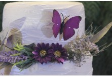 Niver 15 Anos Maria Vitoria