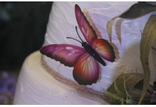 Niver 15 Anos Maria Vitoria