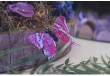 Niver 15 Anos Maria Vitoria