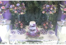 Niver 15 Anos Maria Vitoria