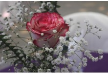 Niver 15 Anos Maria Vitoria