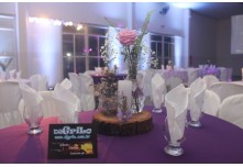 Niver 15 Anos Maria Vitoria