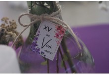 Niver 15 Anos Maria Vitoria