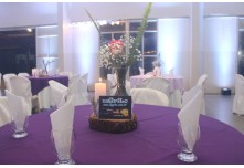 Niver 15 Anos Maria Vitoria