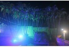 Arraia das Patroas  - Ednéa e Léia