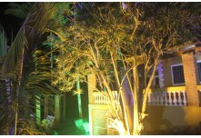 Arraia das Patroas  - Ednéa e Léia