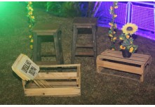 Arraia das Patroas  - Ednéa e Léia