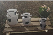 Arraia das Patroas  - Ednéa e Léia