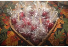 Arraia das Patroas  - Ednéa e Léia