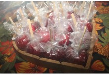 Arraia das Patroas  - Ednéa e Léia