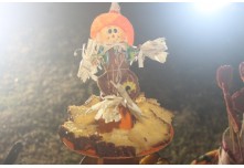 Arraia das Patroas  - Ednéa e Léia