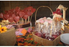 Arraia das Patroas  - Ednéa e Léia