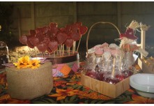 Arraia das Patroas  - Ednéa e Léia