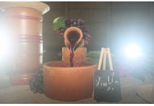 Arraia das Patroas  - Ednéa e Léia