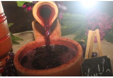 Arraia das Patroas  - Ednéa e Léia