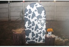 Arraia das Patroas  - Ednéa e Léia