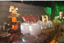 Arraia das Patroas  - Ednéa e Léia