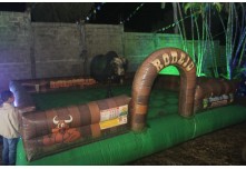 Arraia das Patroas  - Ednéa e Léia