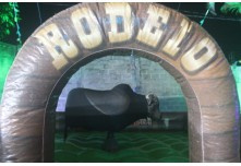 Arraia das Patroas  - Ednéa e Léia