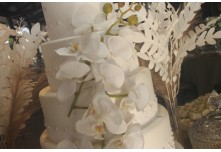 Casamento Viviane e Noah