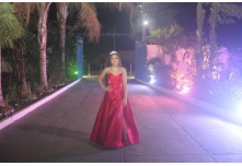 Niver 15 Anos Ingryd