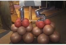 Niver 15 Anos Ingryd