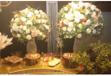 Niver 15 Anos Ingryd