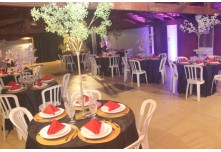 Niver 15 Anos Ingryd