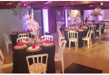 Niver 15 Anos Ingryd