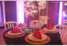 Niver 15 Anos Ingryd