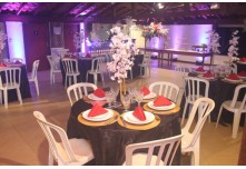 Niver 15 Anos Ingryd