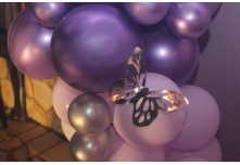 Niver 15 Anos Thauany Ester