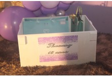 Niver 15 Anos Thauany Ester