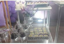 Niver 15 Anos Thauany Ester