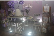 Niver 15 Anos Thauany Ester