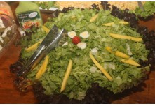 Niver 15 Anos Thauany Ester