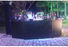 Niver 15 Anos Thauany Ester