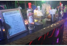 Niver 15 Anos Thauany Ester