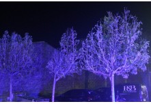 Niver 15 Anos Thauany Ester