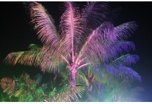 Niver 15 Anos Thauany Ester