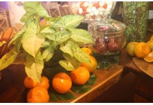 Niver 15 Anos Maria Clara Leonel