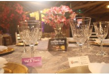 Niver 15 Anos Maria Clara Leonel