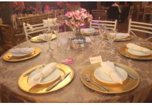 Niver 15 Anos Maria Clara Leonel