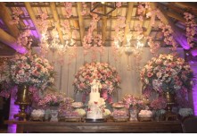 Niver 15 Anos Maria Clara Leonel